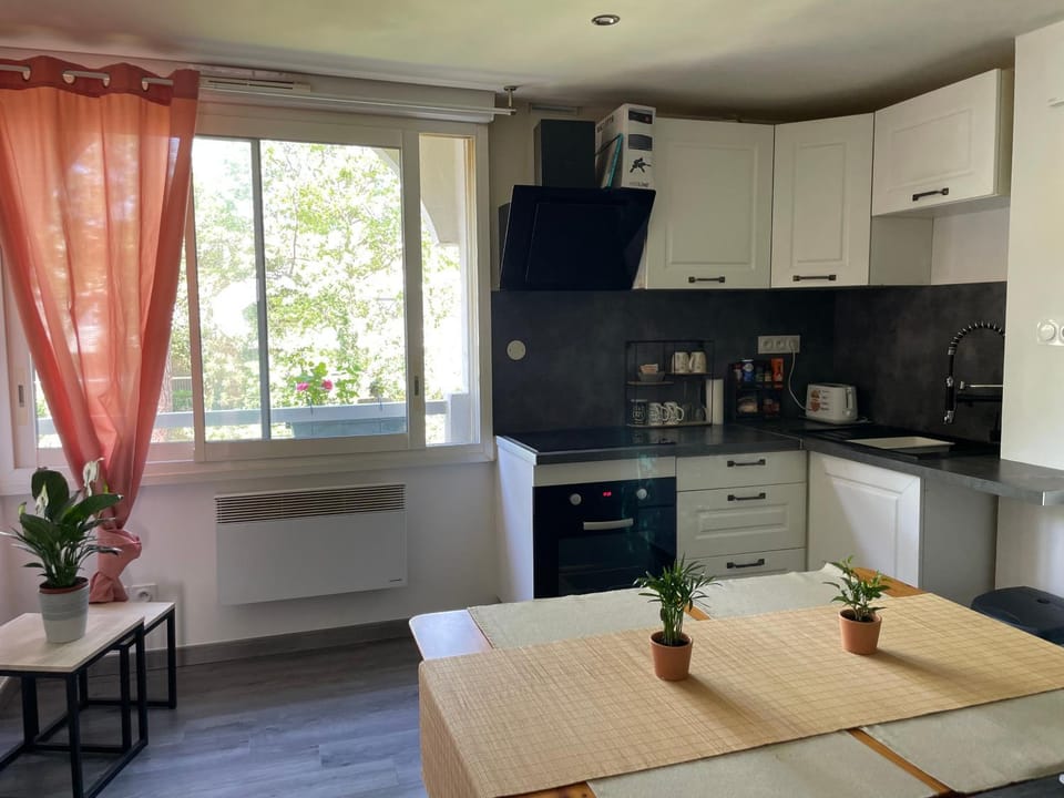 Kitchen or kitchenette, Dining area, stove, toaster