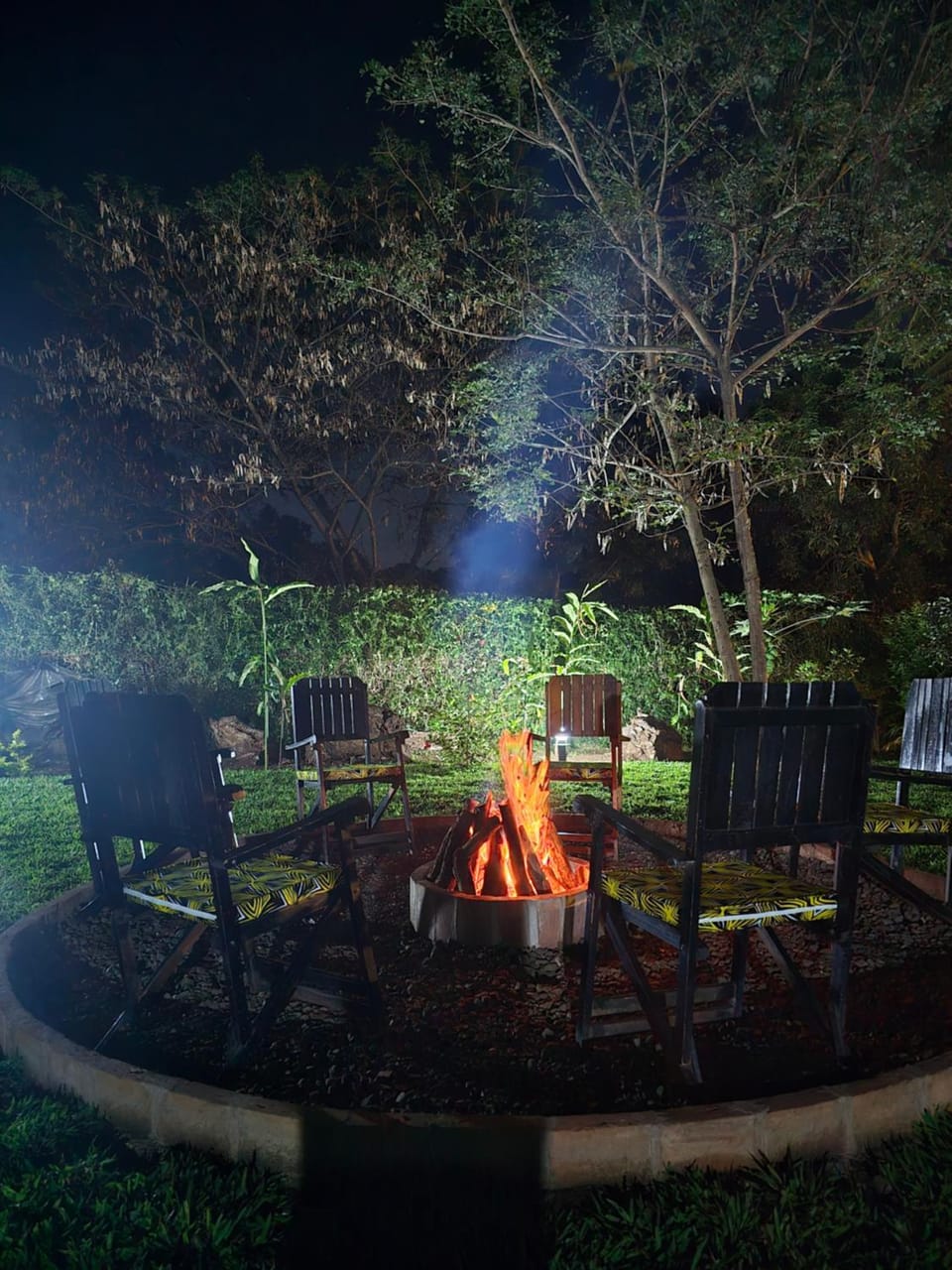 Night, Garden, Garden view