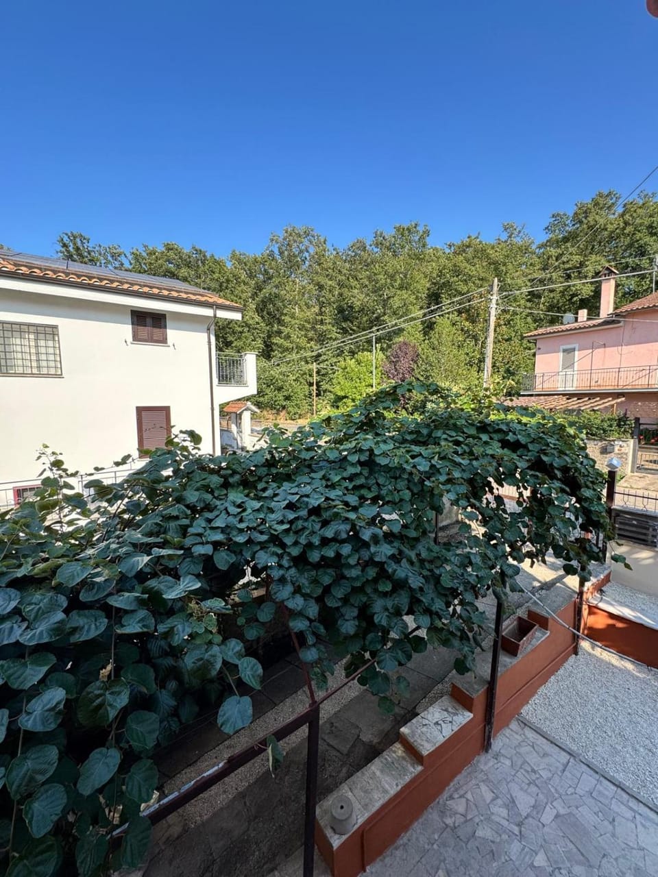 Garden, Garden view