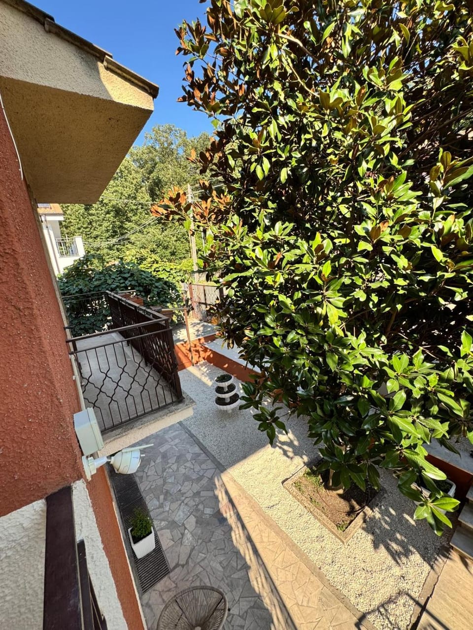 Garden view