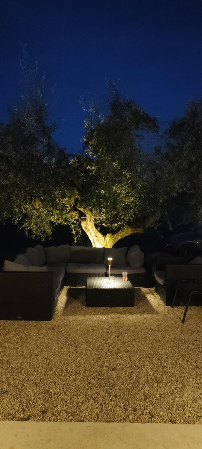 Night, Garden
