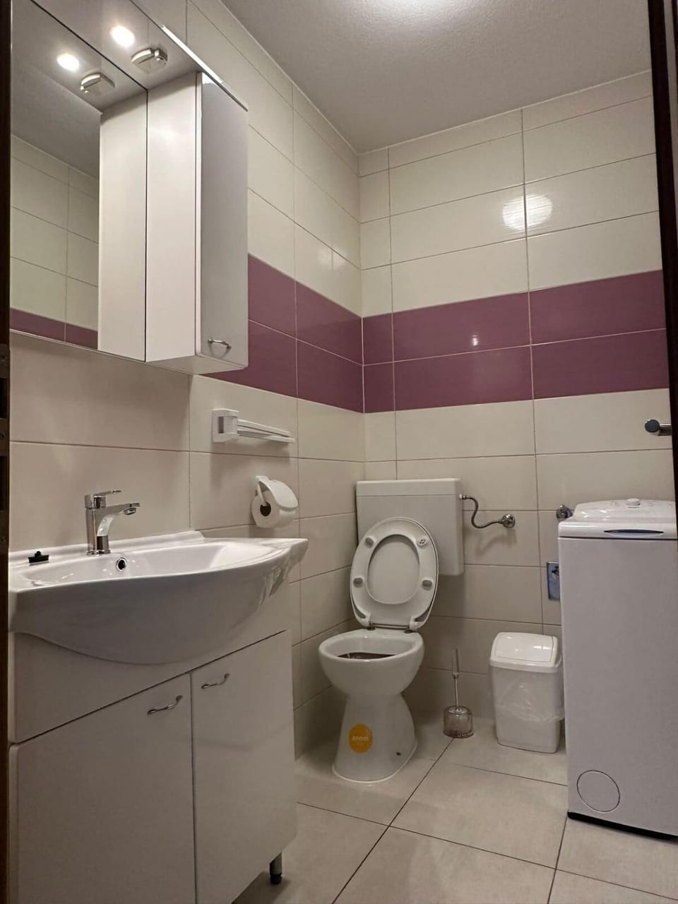 Toilet, Bathroom, towels, washing machine