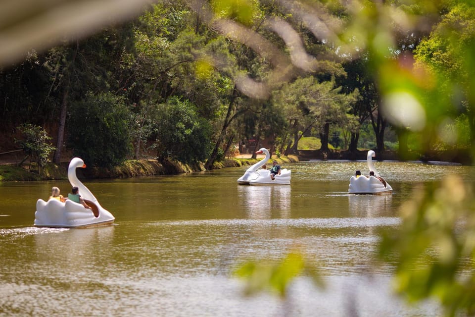 Day, Natural landscape, Activities, Lake view, River view, group of guests