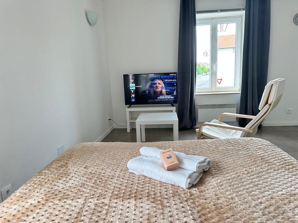 M 102 Studio calme et chaleureux proche Metz Apartment in Rhineland-Palatinate
