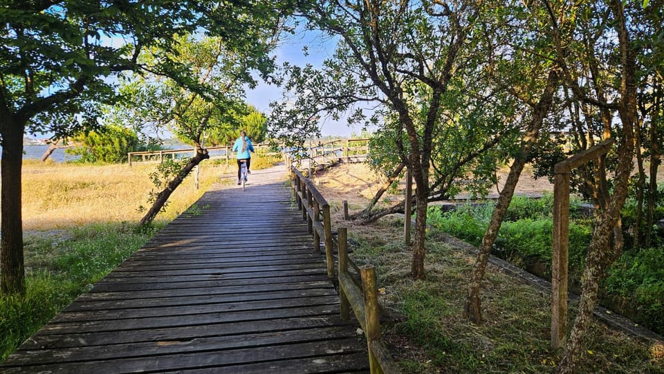 Natural landscape