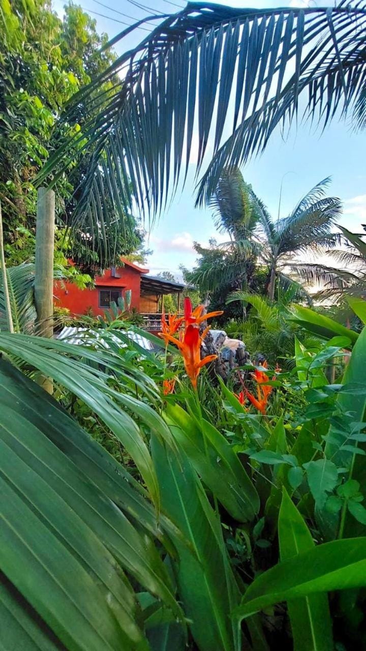 Tree Top View Lodge Chalet in Savanne District, Mauritius