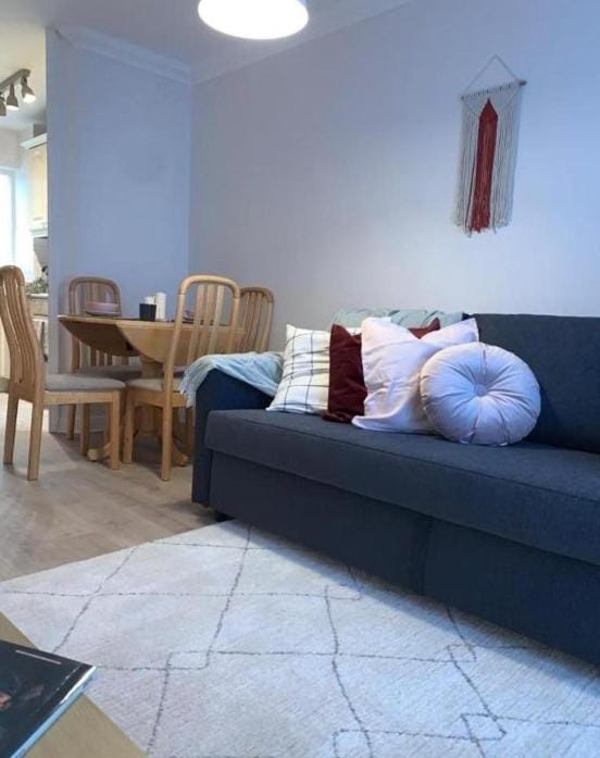 Central Dublin 1 Bedroom and Double Sofa Bed near Guinness Storehouse Apartment in Dublin
