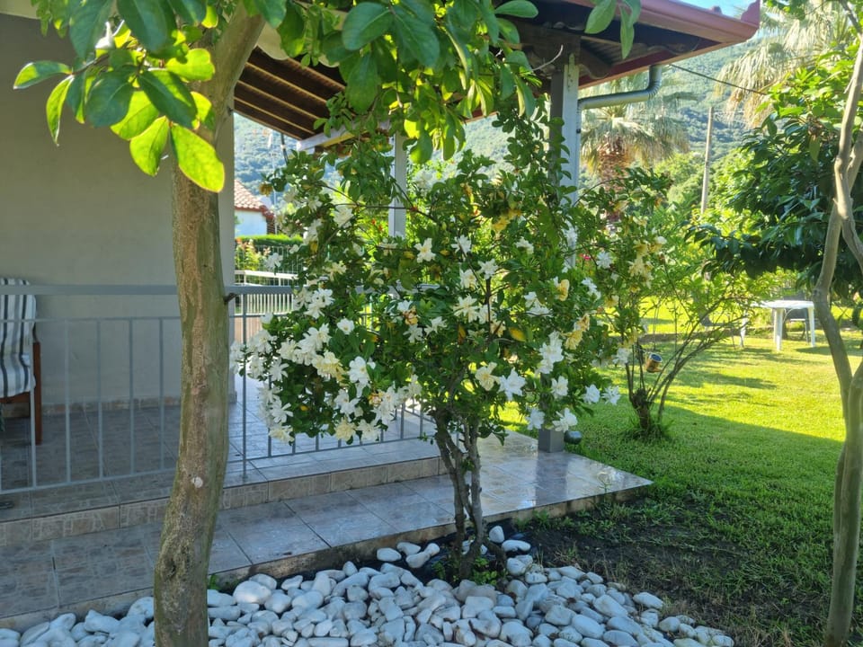 Small heaven of privacy and tranquility in Milies Stavros House in Decentralized Administration of Macedonia and Thrace