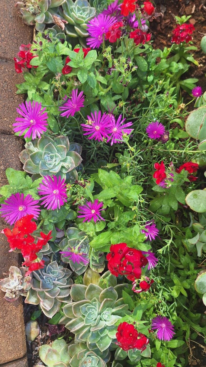 Garden, Balcony/Terrace