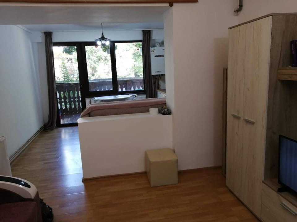 Sofia Caffee Apart Apartment in Brasov