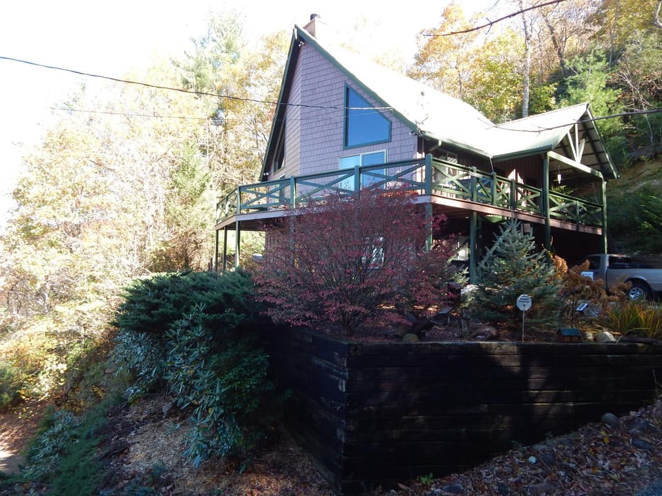 Williebear Cabin Cabin in Georgia