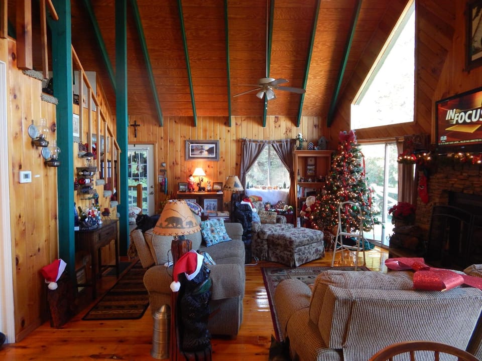 Williebear Cabin Cabin in Georgia