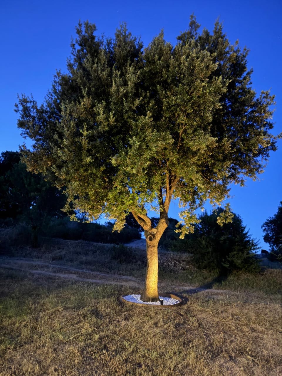 Domo s eliga Vacation rental in Sardinia