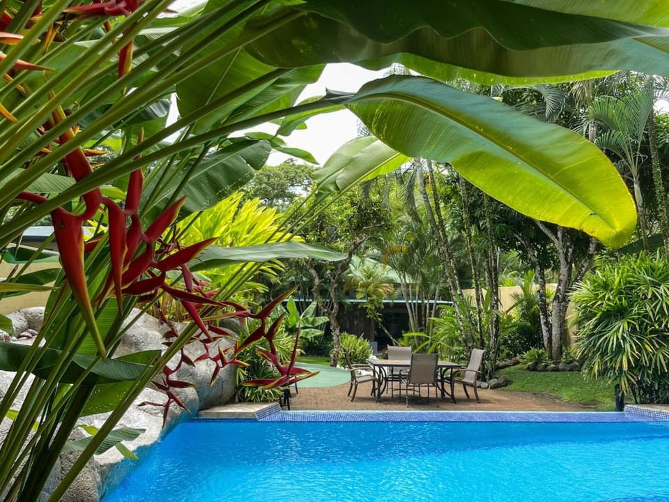Beachfront Sunset Getaway Apartment in Jaco
