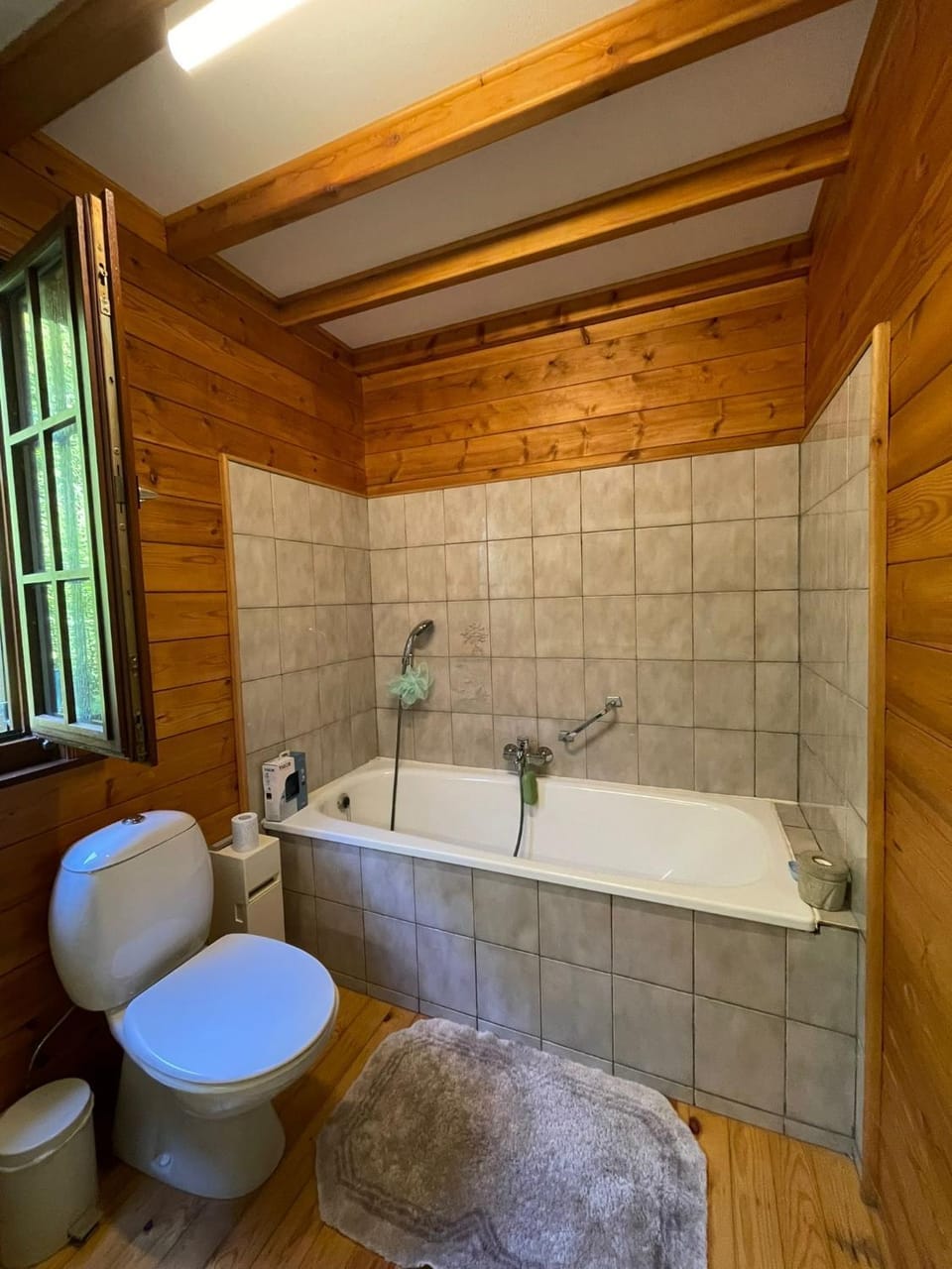 Toilet, Bathroom, Bath