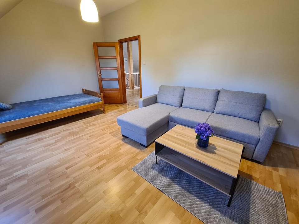 Living room, Photo of the whole room, Seating area