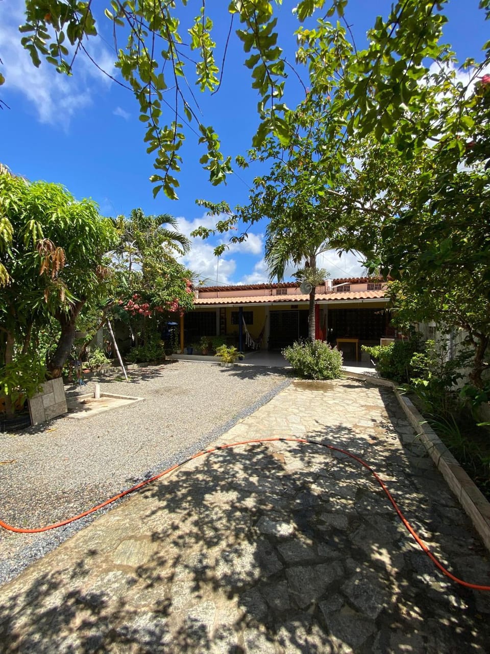 Property building, Garden, Garden, Garden view