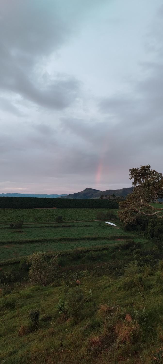 Natural landscape