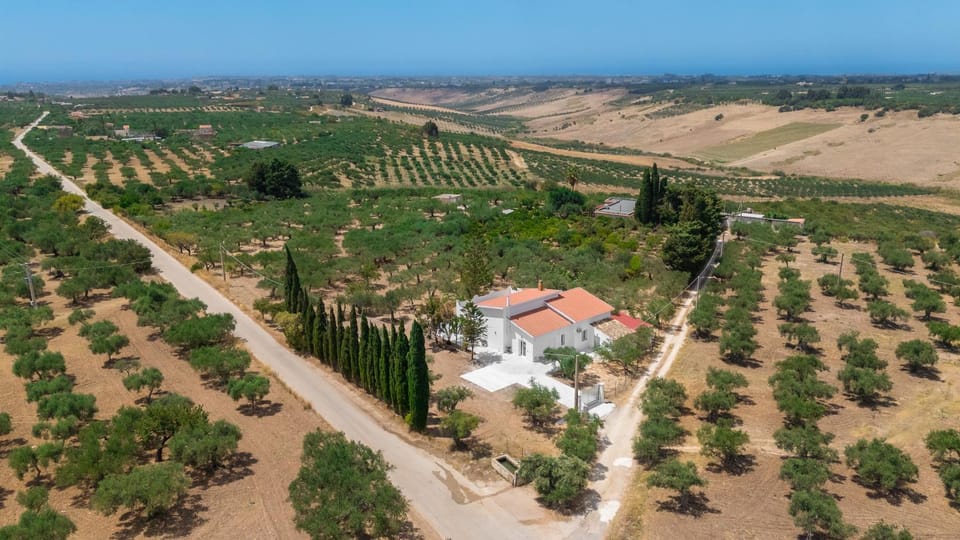 Neighbourhood, Natural landscape, Bird's eye view