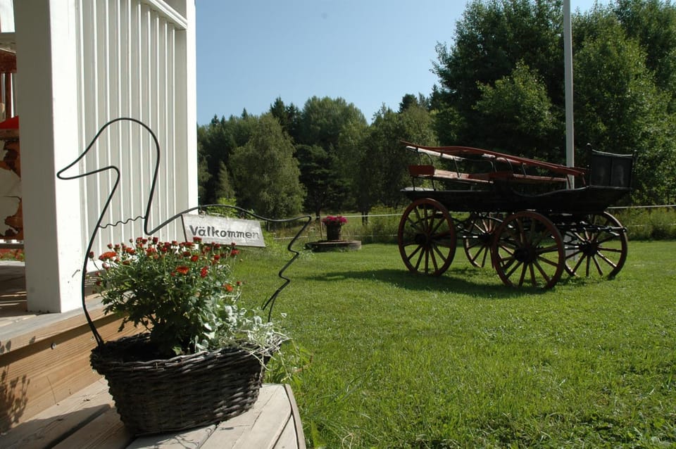 Garden, Garden view