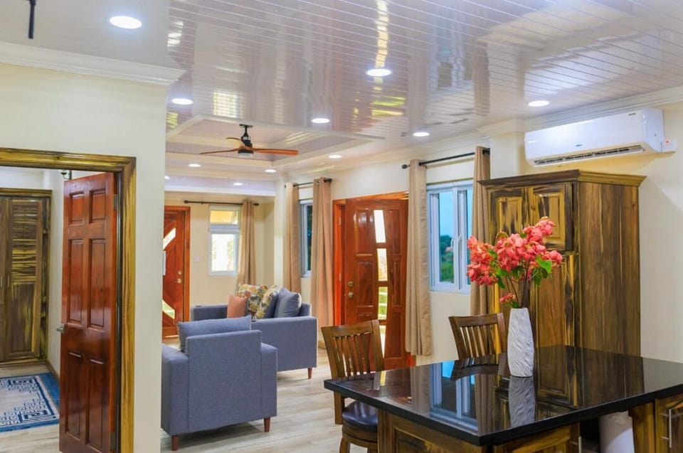 TV and multimedia, Living room, Seating area, air conditioner