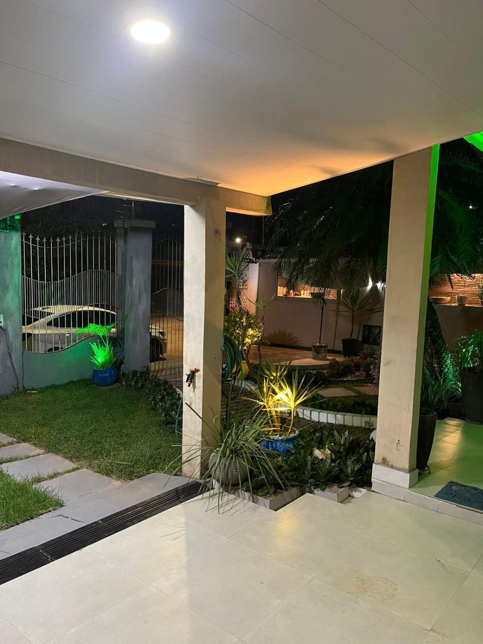Patio, Night, Garden