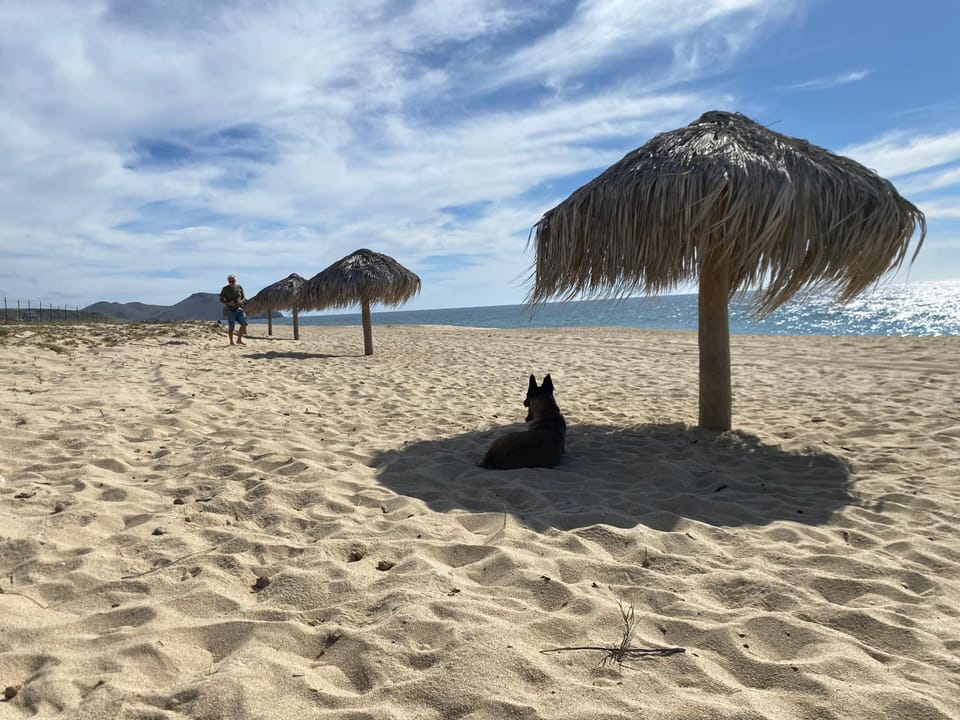 Villa Gardenia - Oceanview Villas w Pool Villa in Todos Santos