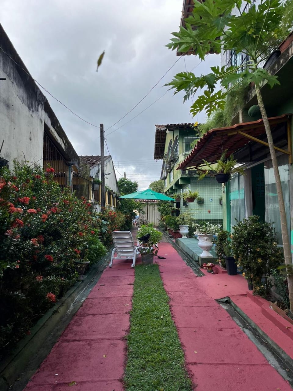 Garden, Garden view