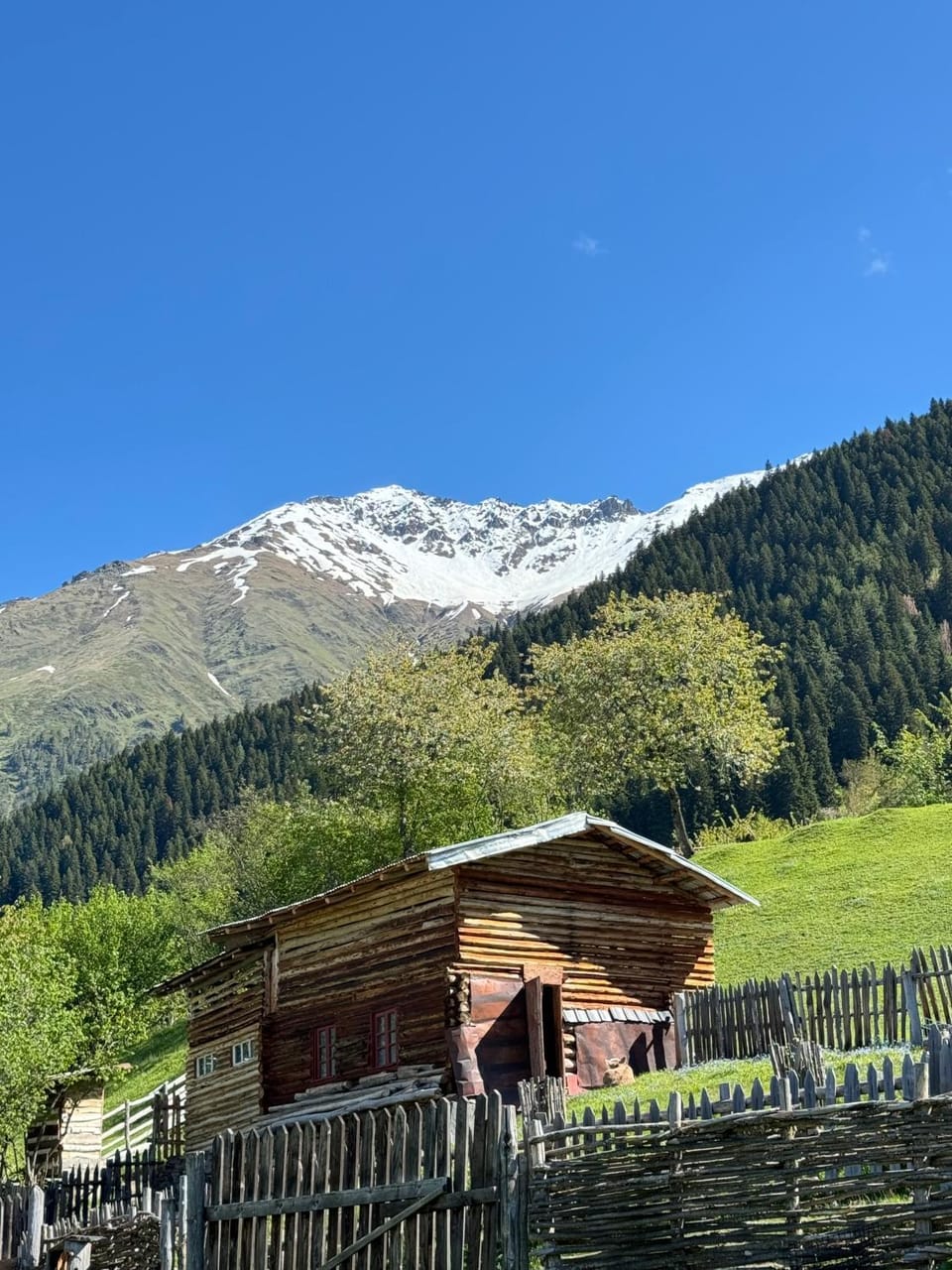 Ipderi cottages Nature lodge in Georgia