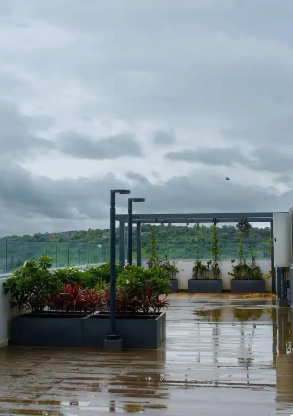 Sonya's Hillside Harmony - 52 Apartment in Pune