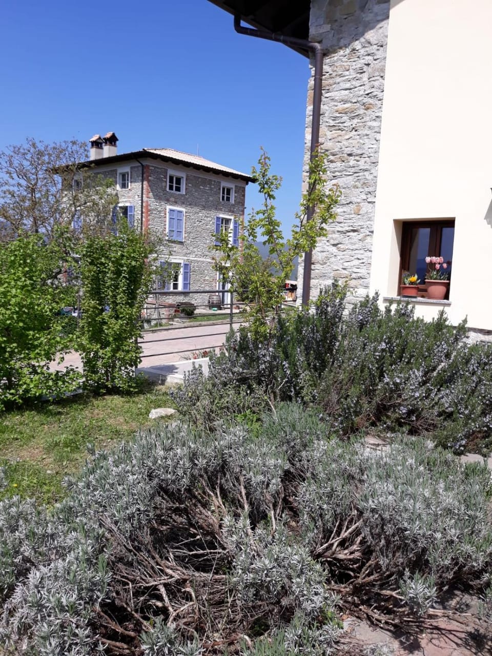 Poggio d'Incanto Farm Stay in Emilia-Romagna