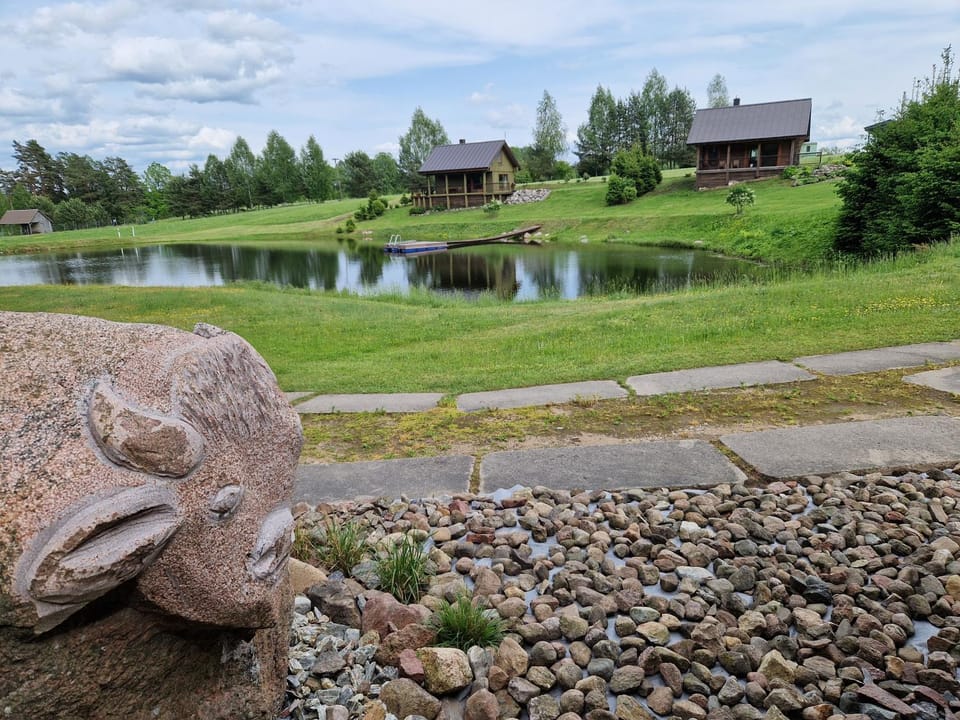 VIP forest dreams villa 2 Villa in Lithuania