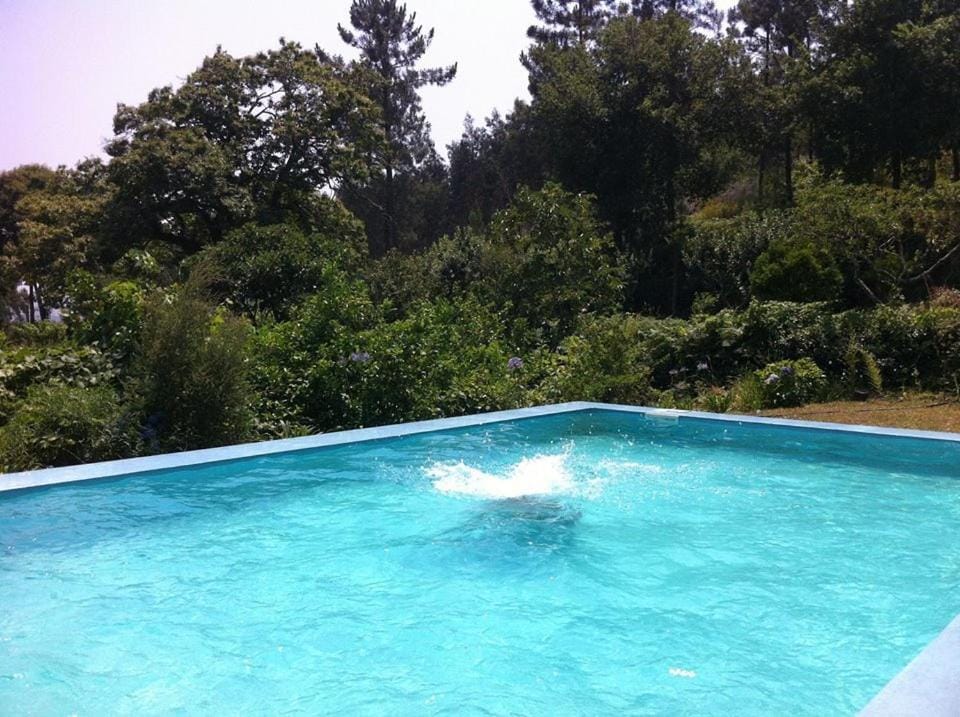 Eira das Carvalhas House in Porto District