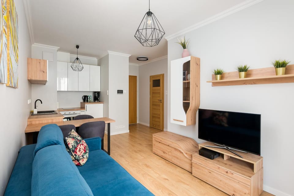 TV and multimedia, Kitchen or kitchenette, Living room, Seating area, Evening entertainment