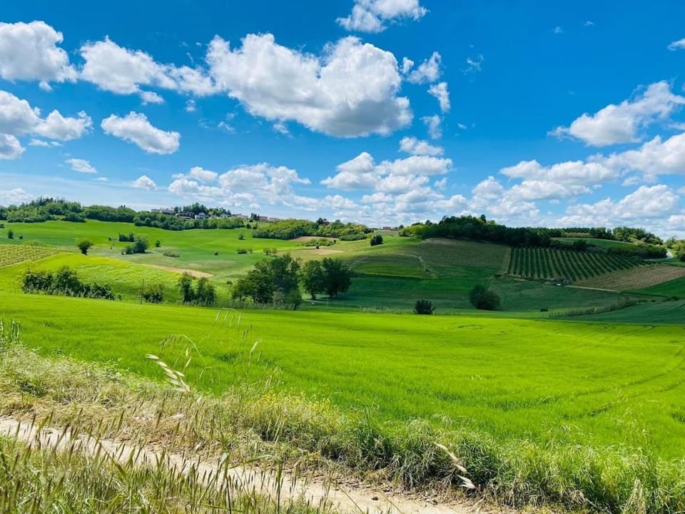 Nearby landmark, Natural landscape