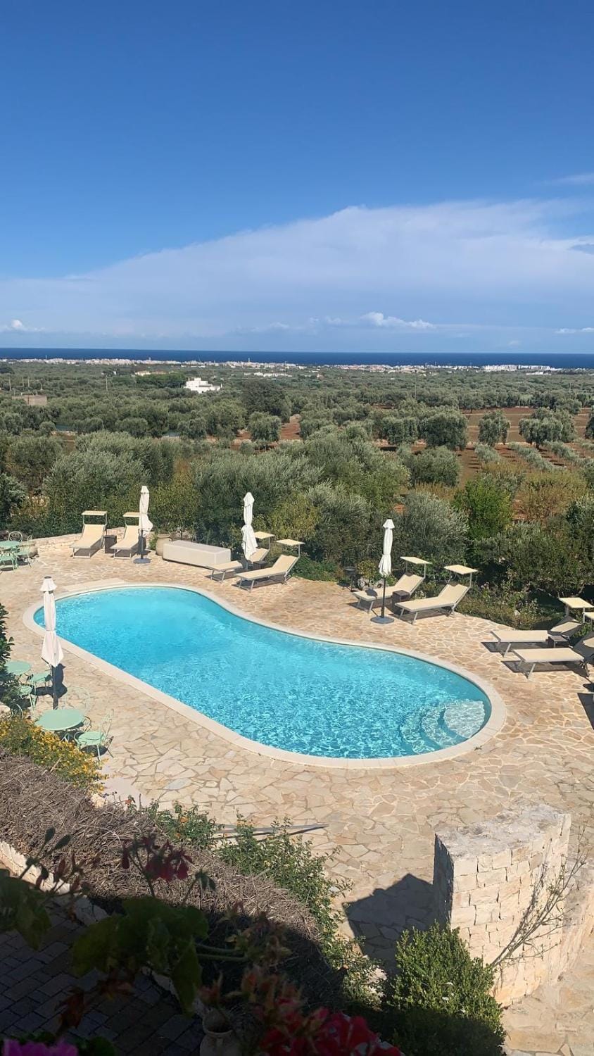 Day, Pool view, Swimming pool
