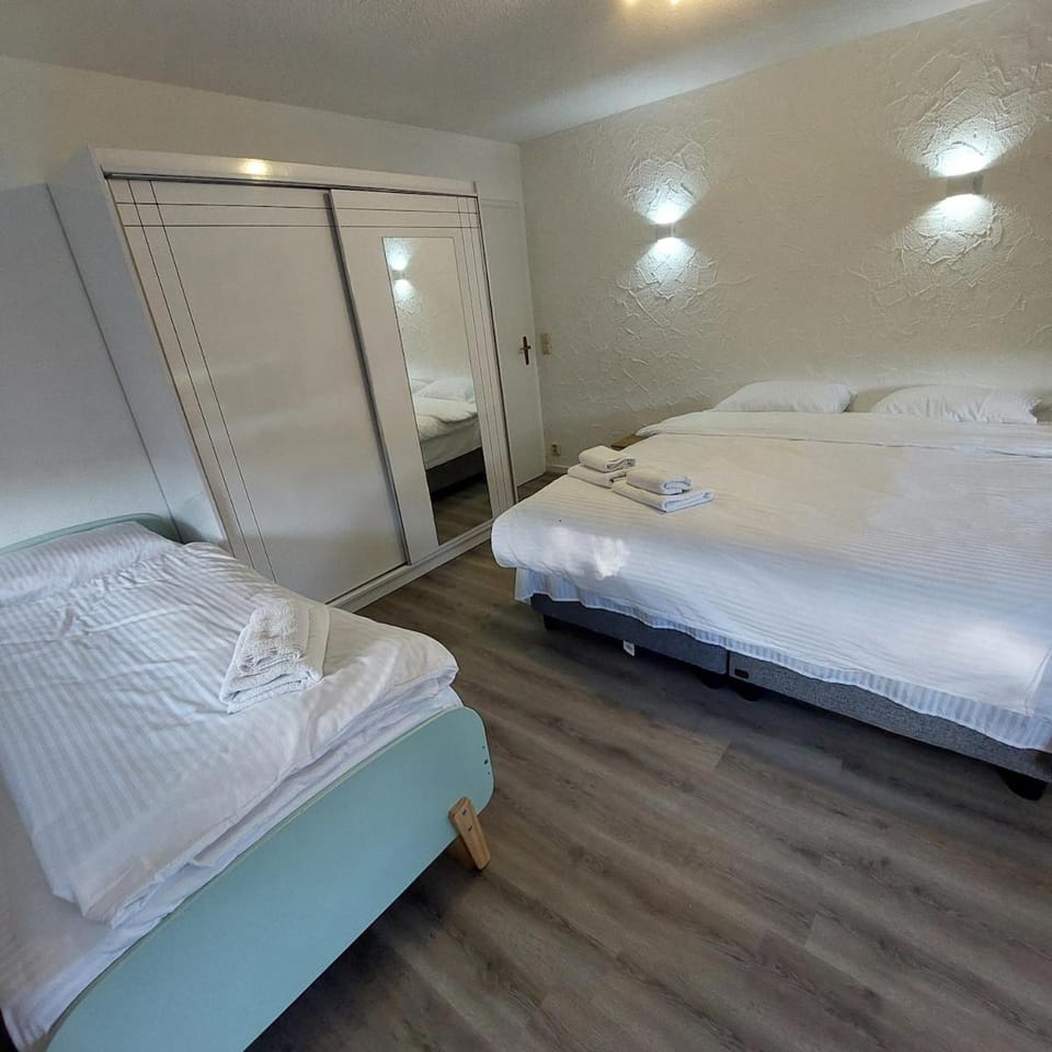 Cozy apartment near the Rhine Apartment in Baden-Württemberg