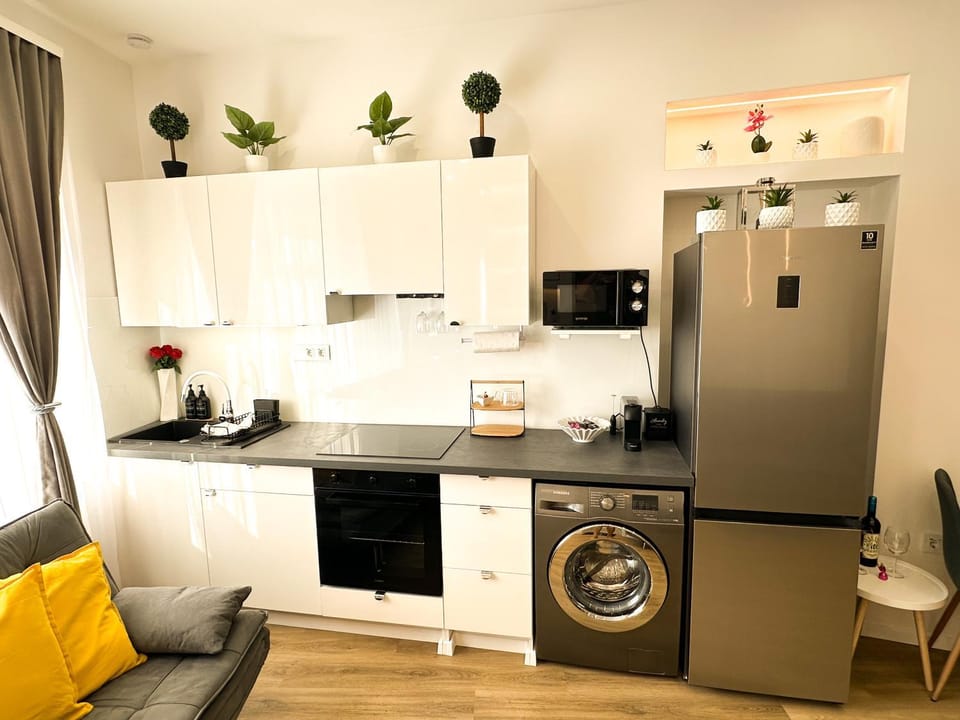 Coffee/tea facilities, Kitchen or kitchenette, minibar, oven, stove, toaster, washing machine