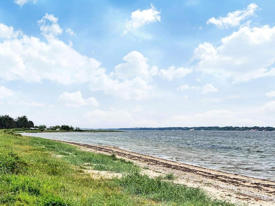Lake view