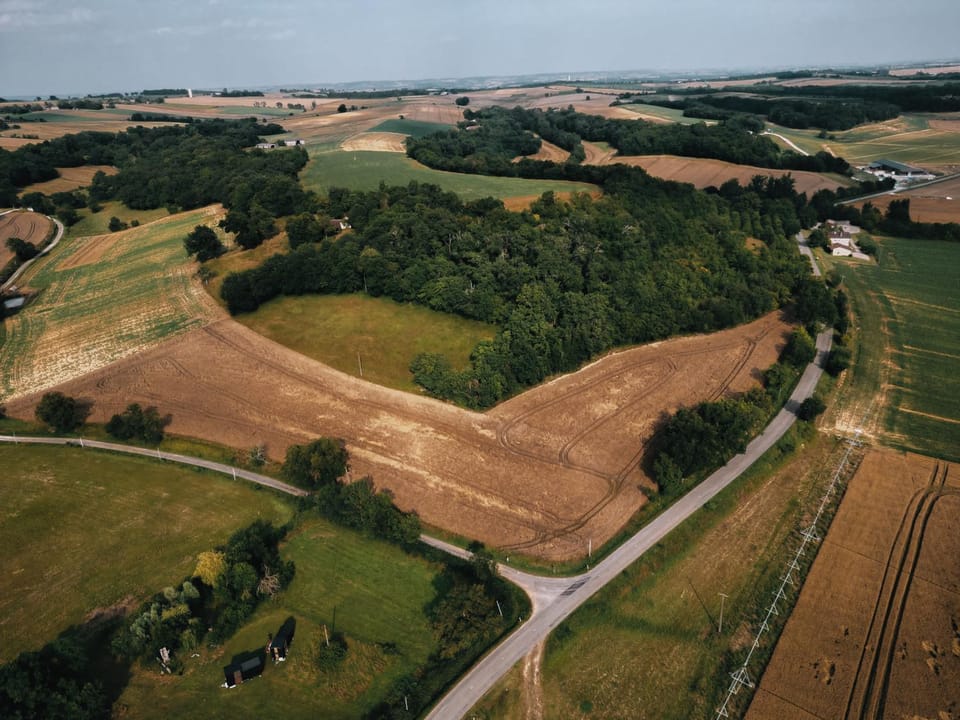 Neighbourhood, Bird's eye view