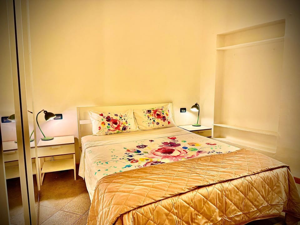 Santo Spirito Oltrearno central cozy flat Apartment in Florence