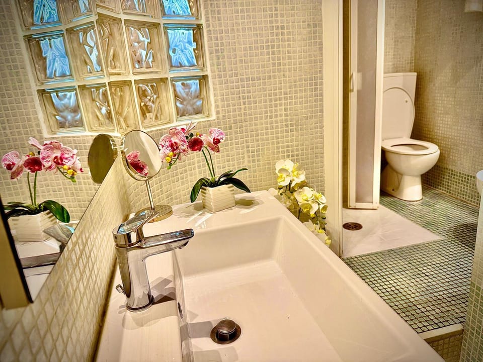 Santo Spirito Oltrearno central cozy flat Apartment in Florence