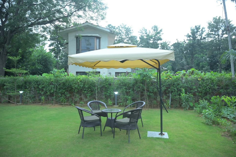 Garden, Seating area, Garden view