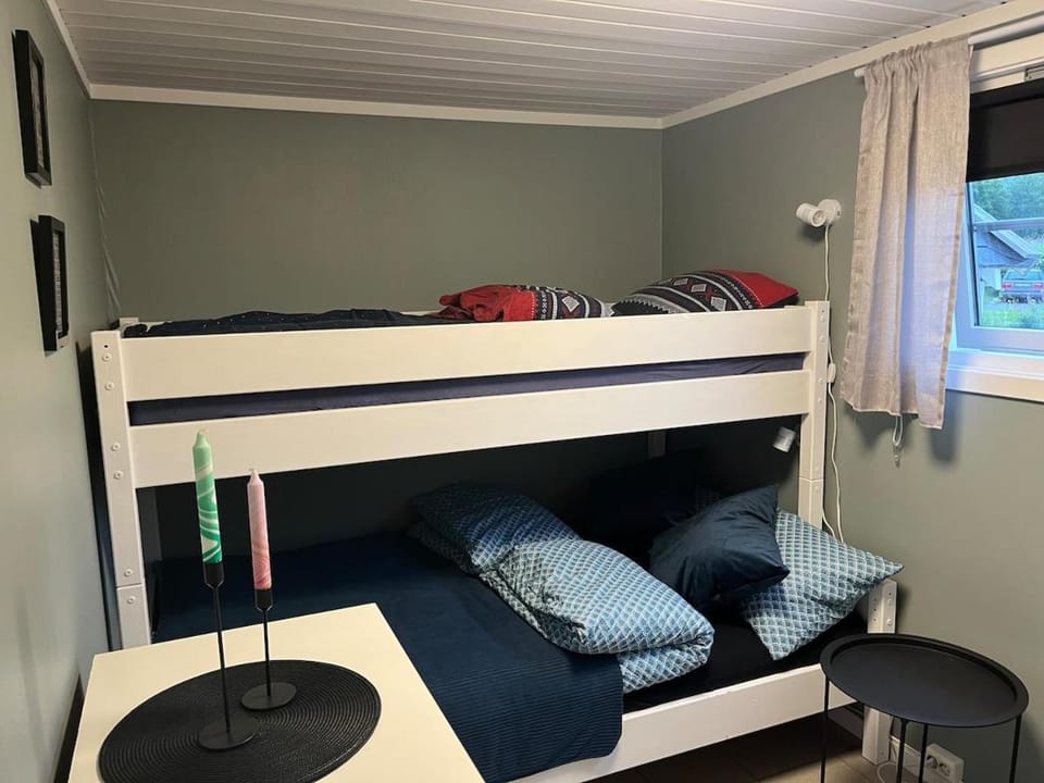 Photo of the whole room, Bedroom, bunk bed