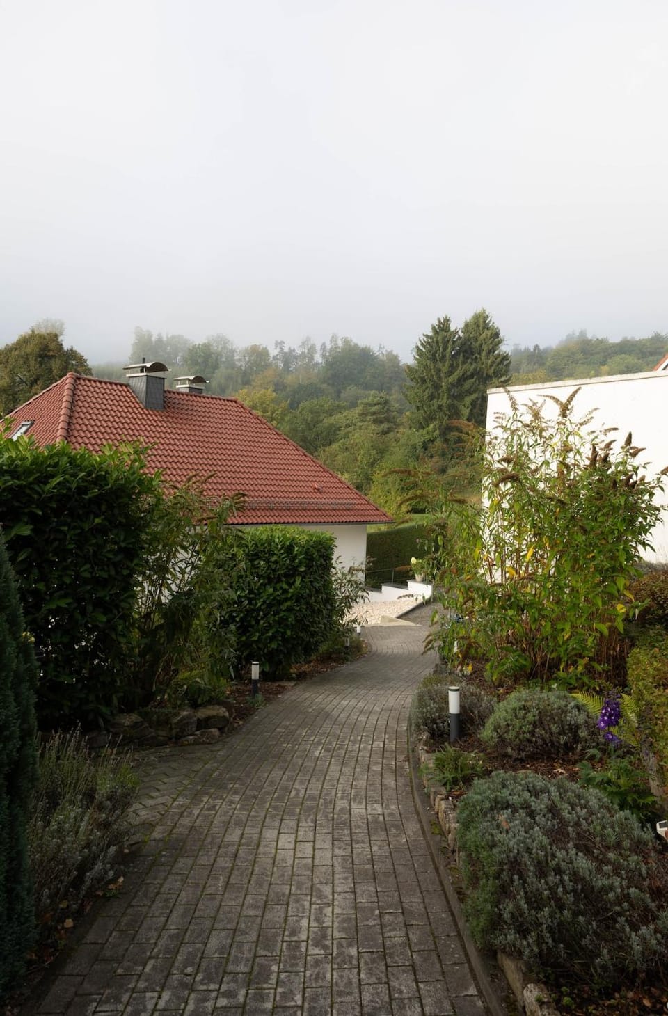 Property building, Natural landscape, Garden view