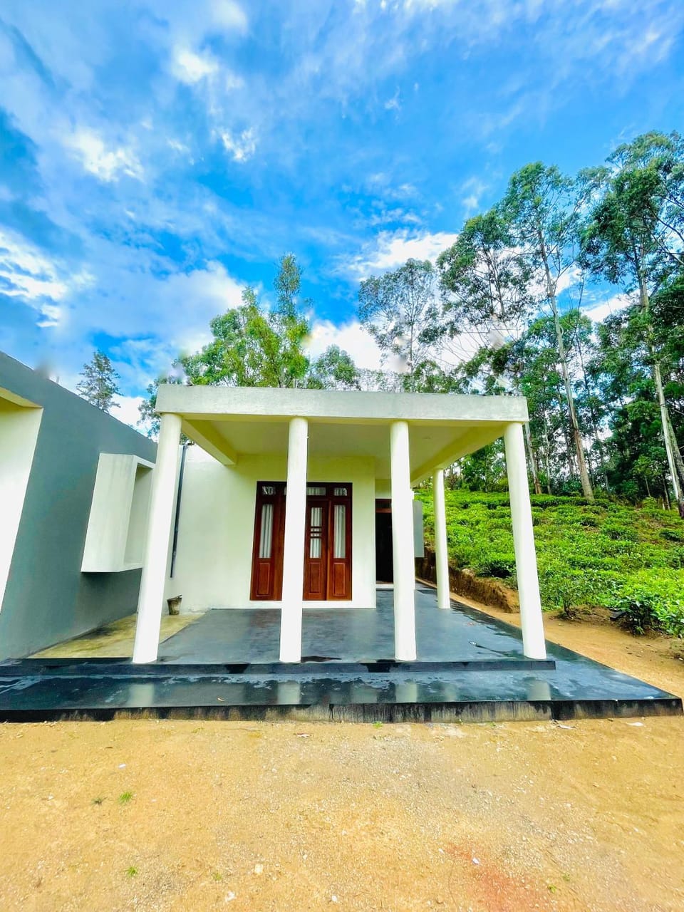 Property building, Day