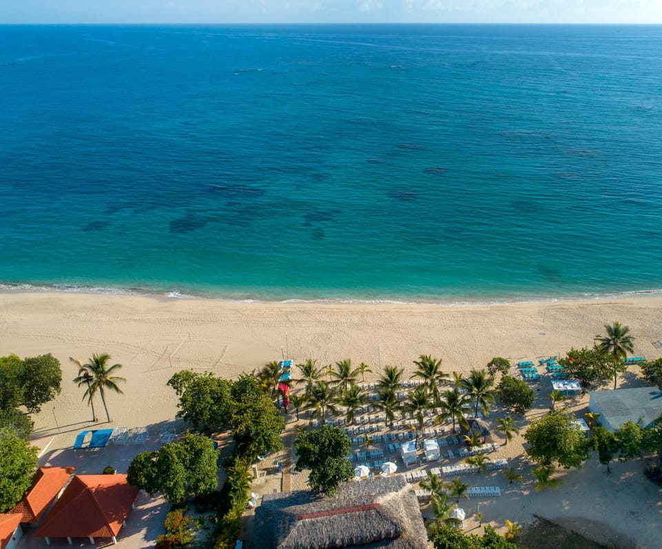 Bird's eye view, Beach