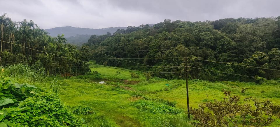 Natural landscape