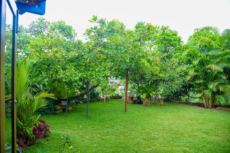 Day, Garden, Garden view, Inner courtyard view