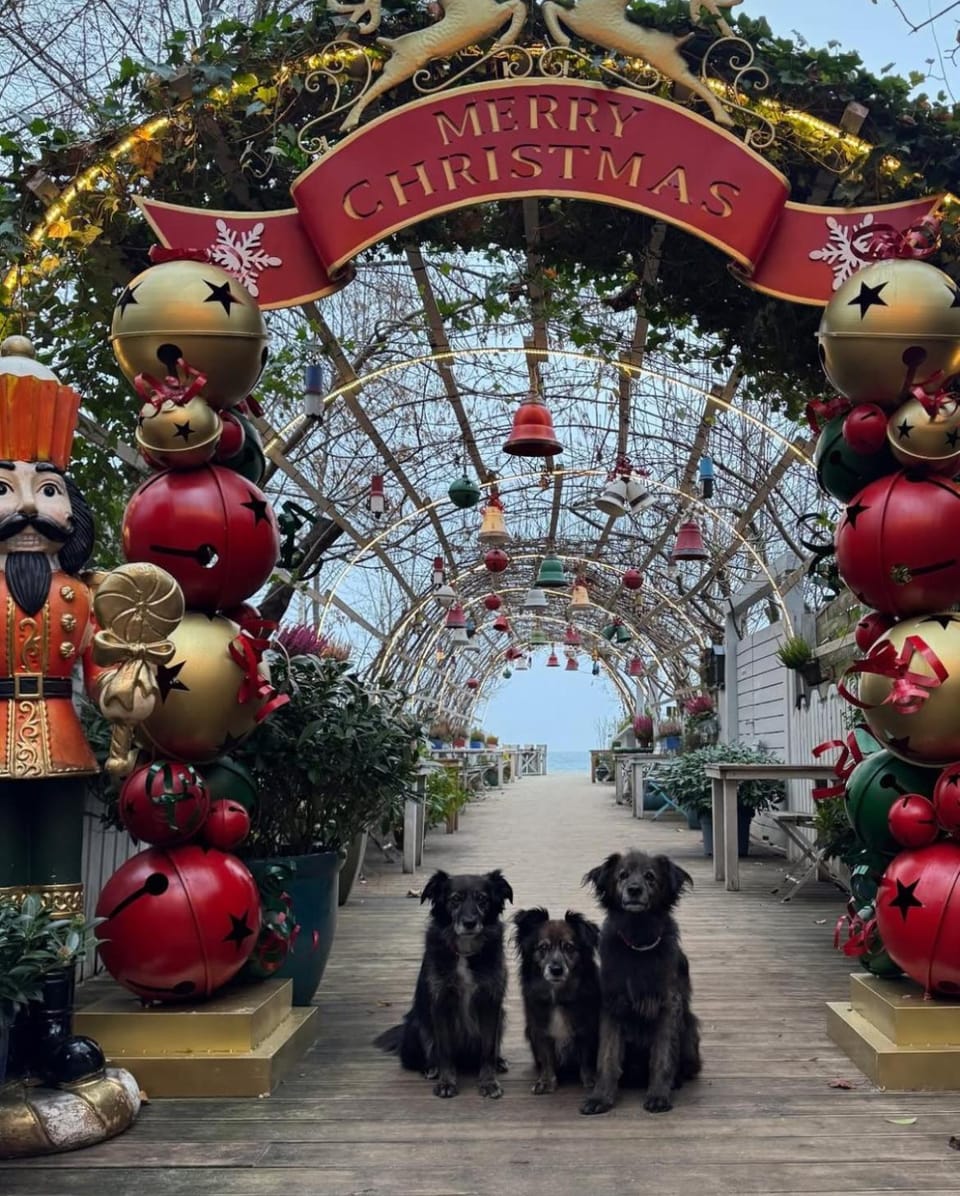 De luxurious apartment Sopot -Baltic Riviera Apartments Apartment in Sopot